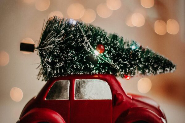 Ako si vybrať umelý vianočný stromček: Praktický sprievodca pre vianočné nákupy