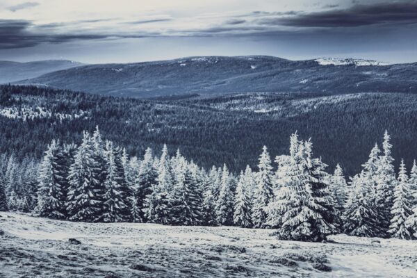 Krkonoše: Najvyššie české hory a ich krásy