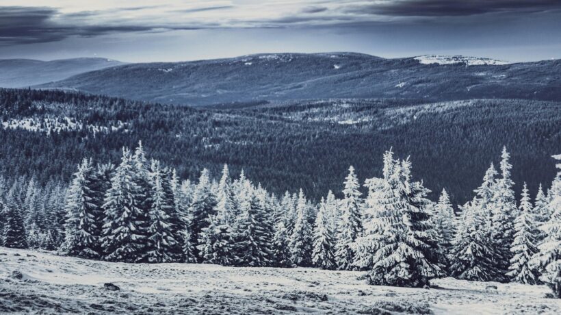 Krkonoše: Najvyššie české hory a ich krásy