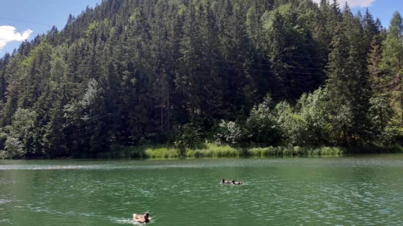 Optimalizácia cestovného poistenia: Výber krytia podľa rizík a typu dovolenky (prehľadovo)