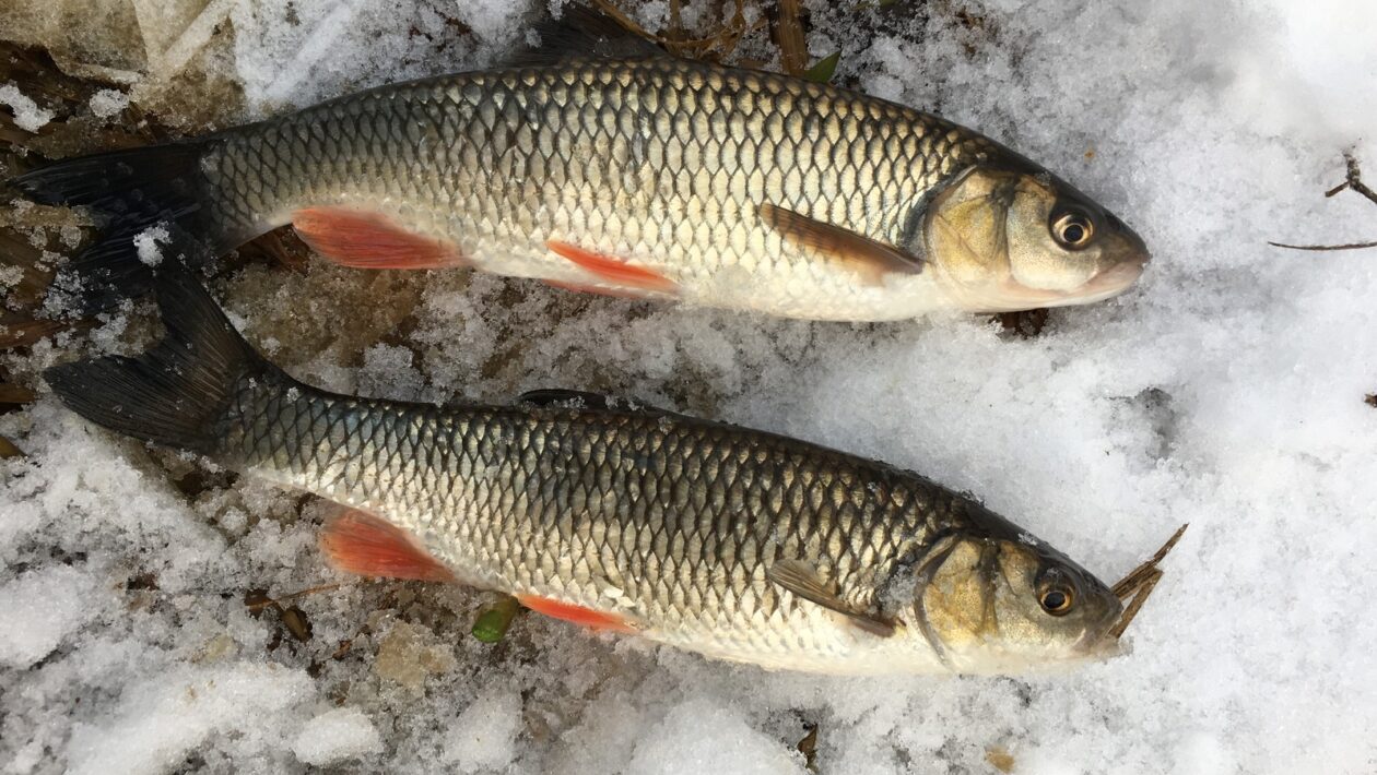 Manažment ubytovacích rezervácií: Kritická kontrola storno podmienok a rizík platby neskôr