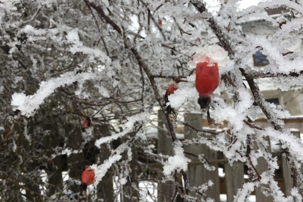 Nocľah v horách: Pravidlá a etiketa pre bivakovanie a správanie sa na horských chatách