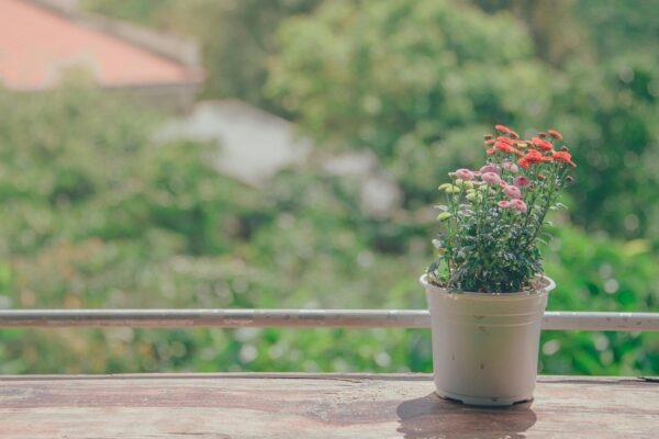 Relaxácia po náročnom pracovnom dni: Techniky rýchleho zotavenia