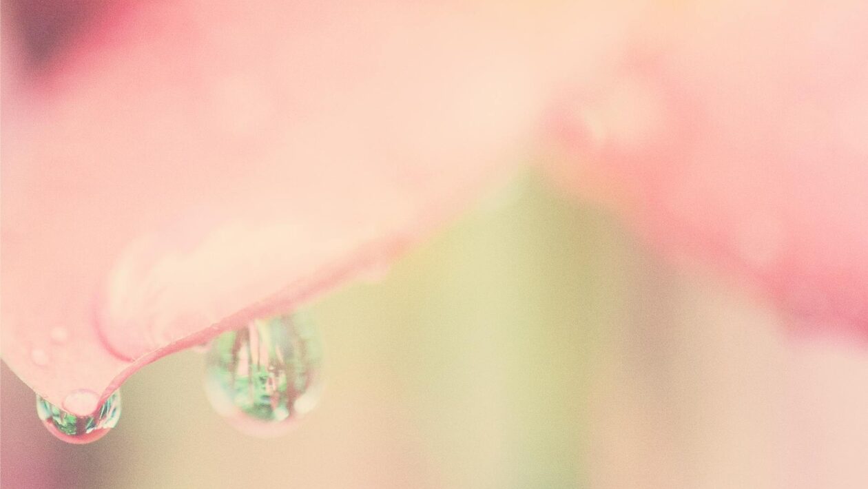 Psychologické účinky hudby na emócie: Hudba ako regulátor nálady