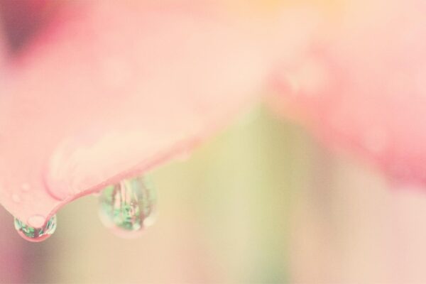 Psychologické účinky hudby na emócie: Hudba ako regulátor nálady