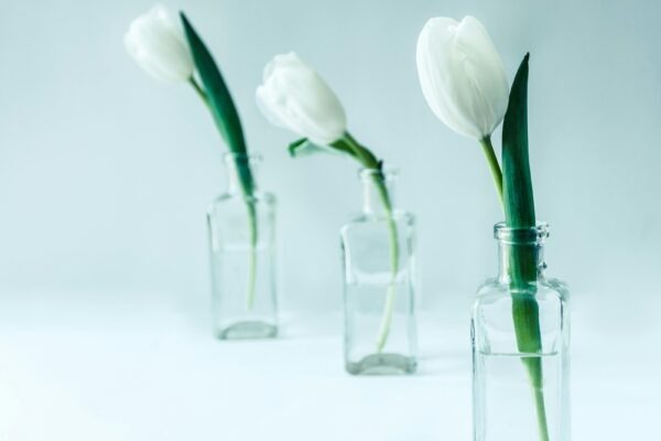 Sebaidentita a duševná pohoda: Sebaúcta, sebaobraz a ich význam