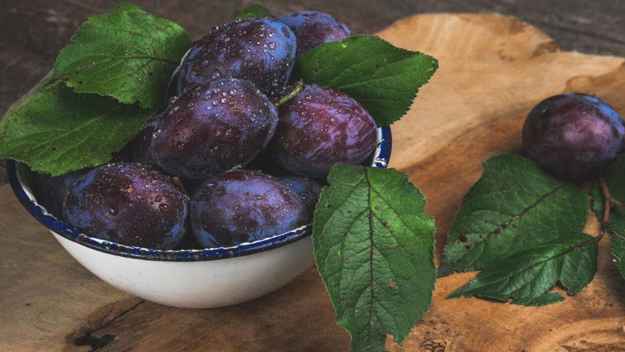 Emočná inteligencia a jej rozvoj: EQ, empatia a sebaregulácia