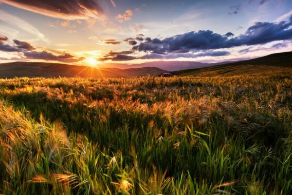 Technologická rovnováha v modernej dobe: Vedomé používanie technológií